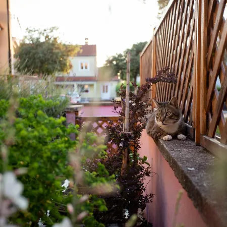 Beba Apartment